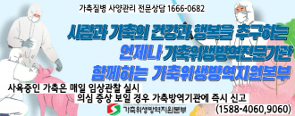 배너