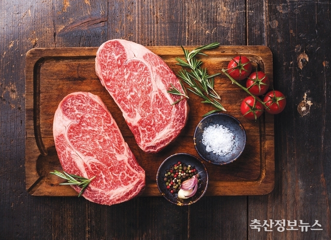 한우 등심