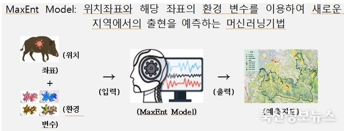 폐사체 발생 예측지도