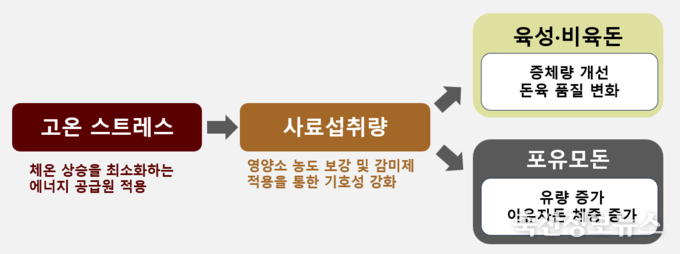 여름철 특수 배합비 강화 내용