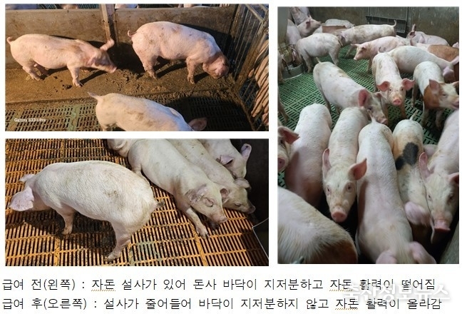 ‘디오도프로’ 급여 전(왼쪽)과 급여 후(오른쪽) 모습