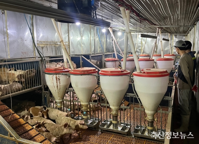 돈사를 점검 중인 모습(사진 왼쪽부터 이창훈 부대표, 이명훈 대표