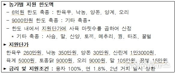 지원한도 및 지원단가, 지원조건