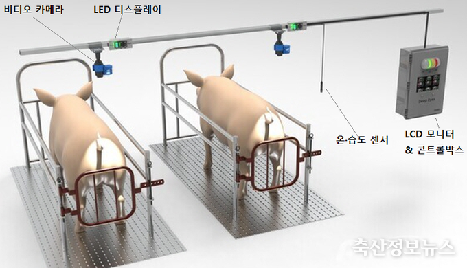양돈 인공지능 분만사 관리 모식도