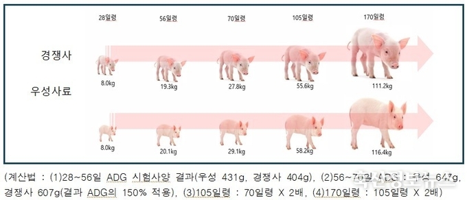 <strong>(그림 1) 자돈구간 일당증체량 차이가 보여주는 비육돈 출하체중 차이</strong>