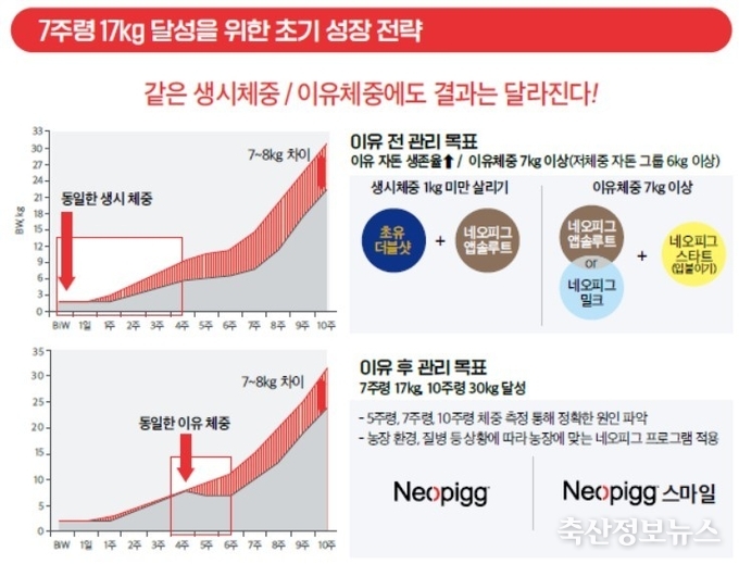 7주령 17Kg의 의미와 초기 성장 전략