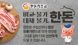 배너