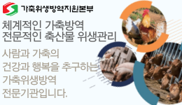 배너
