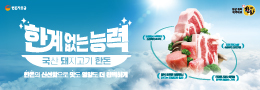 배너