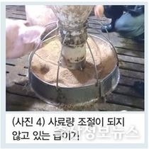 농장 생산성 개선을 위한 육성·비육돈 단계의 사양관리 핵심 포인트 / 김근필 박사