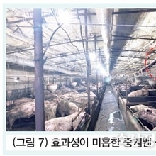 여름철 비육사 최대환기량 관리 / 김승동 팀장