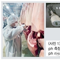 2025년 돼지개량네트워크구축사업 육질 검정 추진계획2(육질 개량을 위한 핵심 형질과 그 의미) / 최임수 박사