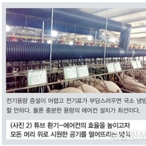 혹서기에 폐사가 증가하는 이유 / 김성일 원장