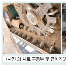 여름철 모돈 관리를 통한 번식돈 준비 및 번식성적 관리가 필요하다 / 박재원 박사
