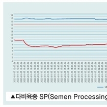 여름철 1산차 모돈 관리와 웅돈(액상유전자) 관리 이것만은 꼭 지킵시다. / 이장걸 소장