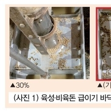 사료비 및 증체 개선을 위한 급이기 바닥 내 사료 비율(Coverage) 관리 / 김광호 차장