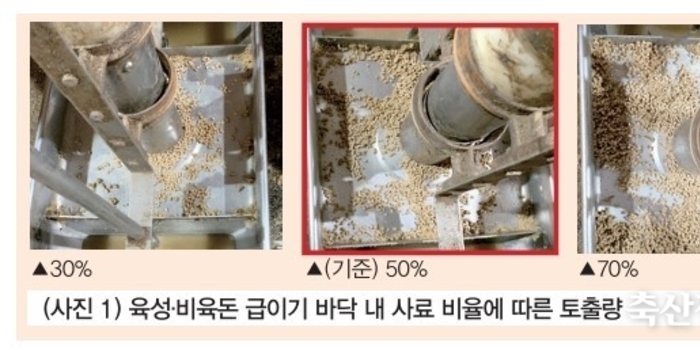 사료비 및 증체 개선을 위한 급이기 바닥 내 사료 비율(Coverage) 관리 / 김광호 차장