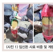 미리 준비하는 더위 이후 양돈장 관리(번식돈) 점검 포인트 / 김근필 박사