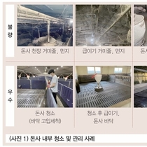 양돈장 냄새저감을 위한 마음가짐 / 이정식 부장