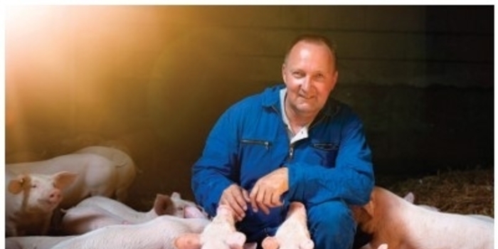 우리 농장 호흡기 질병 현황판, 도축장 폐 병변 검사 / 박새암 팀장