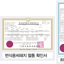 종돈개량 관련 용어, 이 정도는 알고 가자. / 최임수 박사