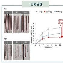 농촌진흥청, 유산균으로 발효 육제품 곰팡이 억제 … 현장 기술 실증