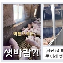 겨울철 농장에서 준비하고 실천해야 할 주요 시설 및 환기관리 점검·개선 사항들 / 박성원 본부장
