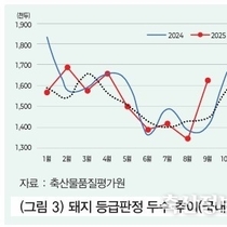 2025년 데이터로 분석해 보는 돼지고기 유통시장 리뷰 / 박민희 본부장