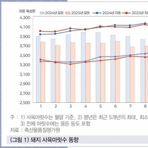한돈산업 2025년 동향과 2026년 전망 / 김태환 전문연구원