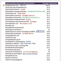 2025년 양돈 세균성 질병 발생 동향 / 강상철 수의사