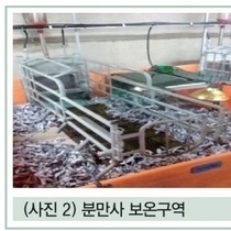 봄철 맞이하는 양돈장에서 체크해야 할 주요 핵심 사항들 / 조정준 원장