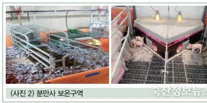 봄철 맞이하는 양돈장에서 체크해야 할 주요 핵심 사항들 / 조정준 원장