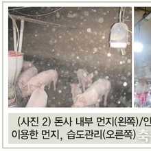 봄철 환절기에 다발하는 ‘연쇄상구균’ 감염증 / 장석현 수의사