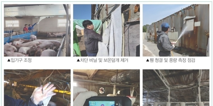 4월 환절기 양돈장의 사양관리 핵심 전략 / 고건 팀장